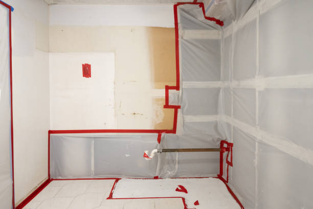 Best Forensic Mold Investigation  in Trussville, AL