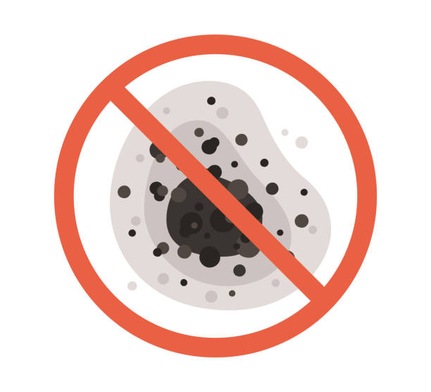 Best Airborne Mold Testing  in Trussville, AL