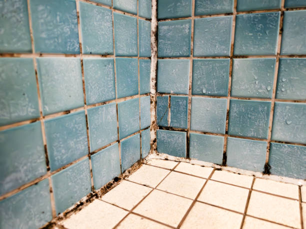 Best Biohazard Mold Removal  in Trussville, AL