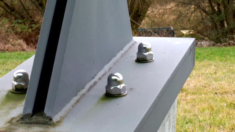 Biohazard Mold Removal in Trussville, AL